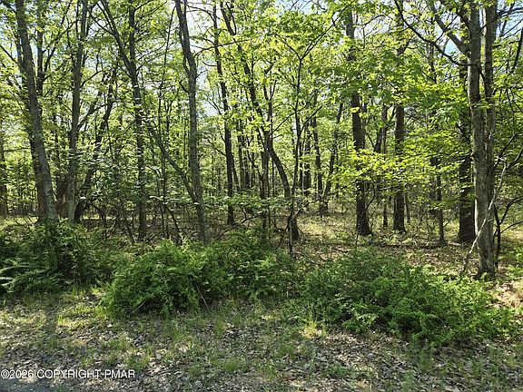 3rd image of Lower Seese Hill Rd