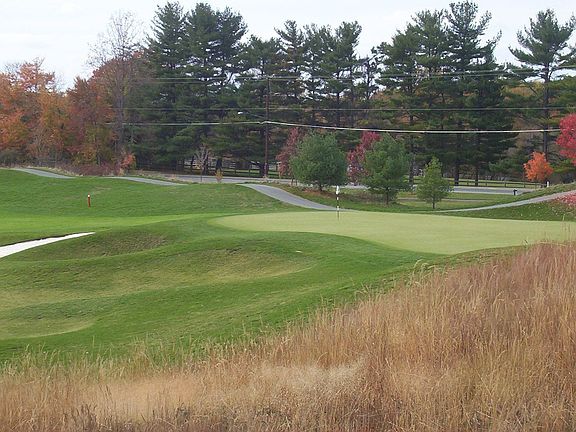Watch the Duffers on the Fifth Green