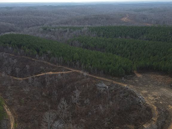 2nd image of 0 N Fork Rd Lot 3