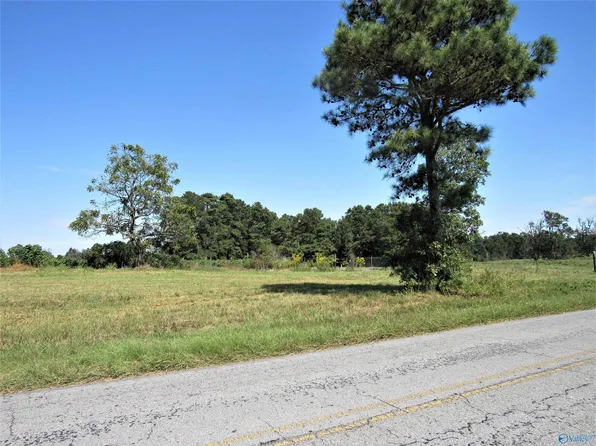 1100 Greenbriar Dr, Henagar, AL 35978