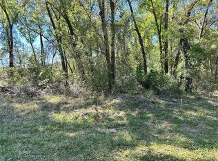 446 N Fitzpatrick Ave Lot 17-20, Inverness, FL 34453