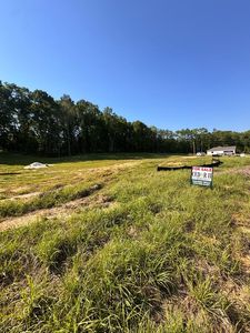 LOT 2 County Road 2214, Goshen, AL, 36035