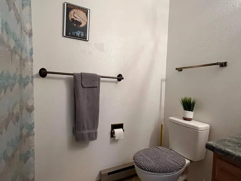Guest bathroom on second floor.