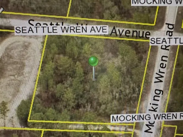 11288 Seattle Wren Ave Lot 7, Brooksville, FL 34614