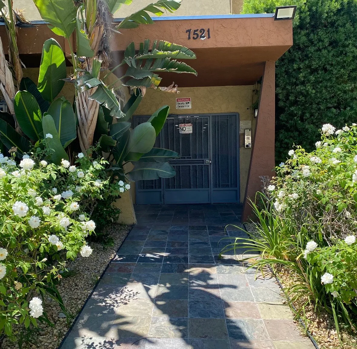 1 bed, 825 sqft, $1,695 — Photo 1
