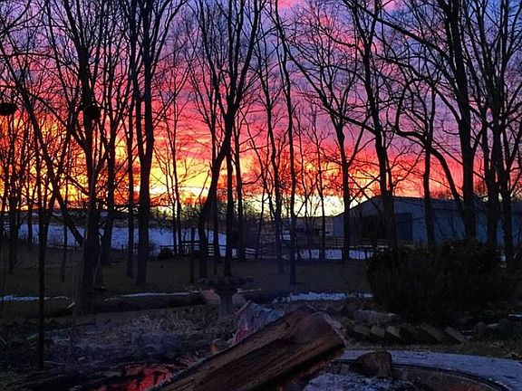 Backyard Sunset 