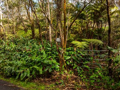 9th St, Volcano, HI, 96785