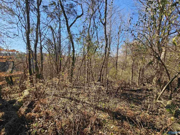 24402 Cedar Ln, Elkmont, AL 35620