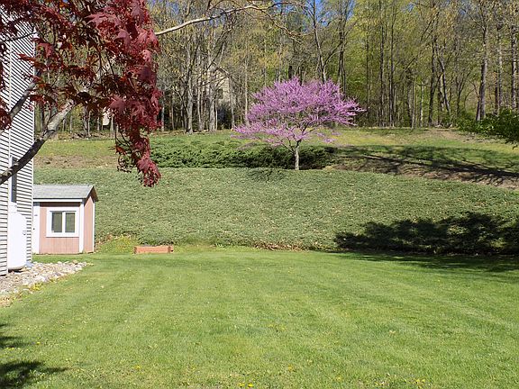 Side Yard