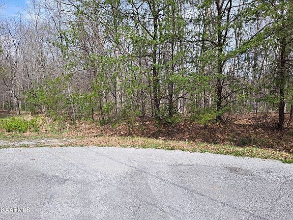 2nd image of Forest Dr