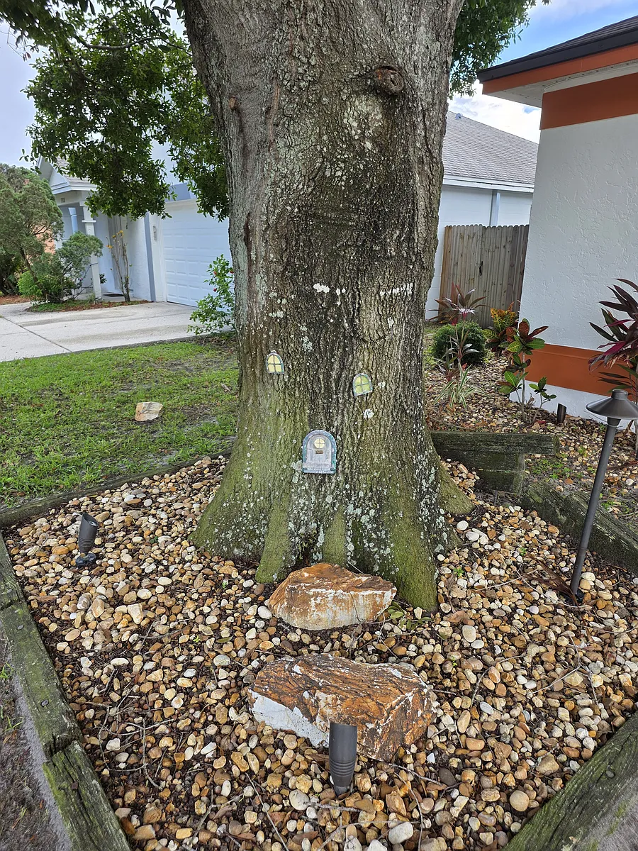 Front Tree - 5922 Taywood Dr