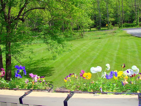 View from Master Balcony.
