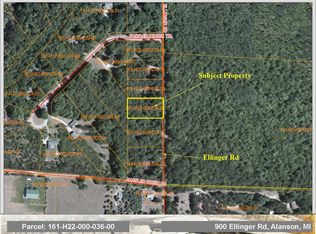 900 Ellinger Rd, Alanson, MI 49706