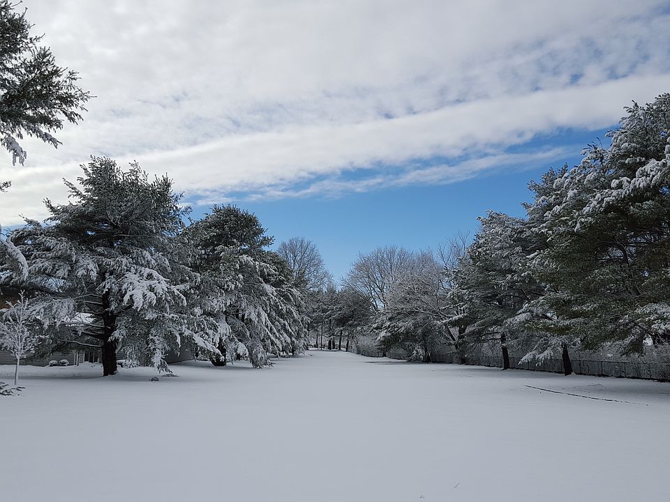 View from back of unit