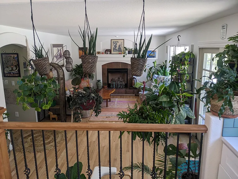 9268 Roadrunner Dr — Photo 4
