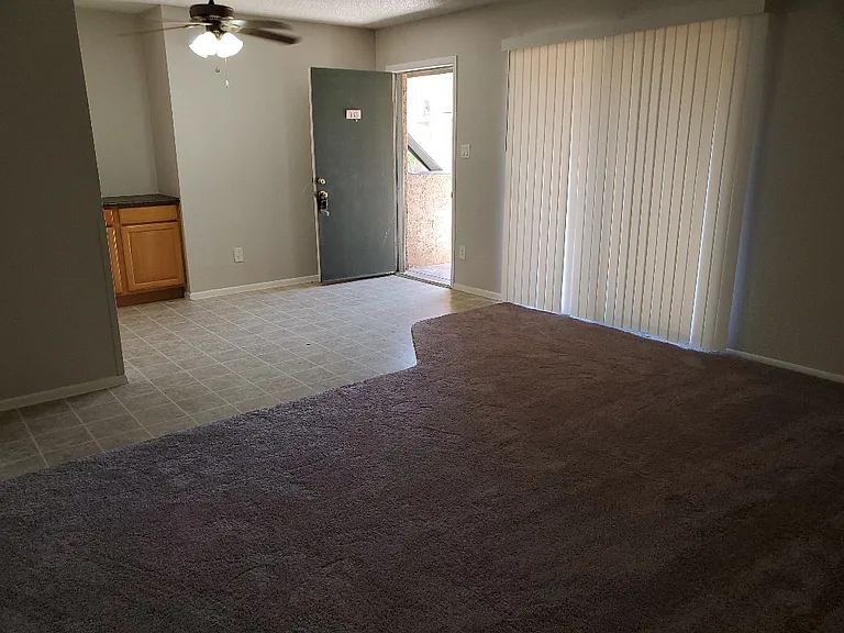 1224 E Evergreen St #133 — Photo 15