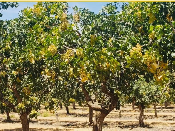 27 Road 27 #20-1/2, Madera, CA 93638