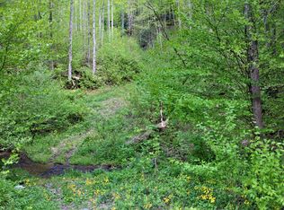 0 Fall Branch Rd, Mountain City, TN 37683