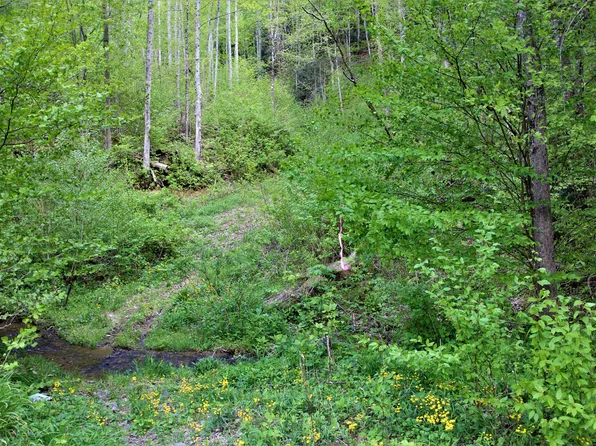 0 Fall Branch Rd, Mountain City, TN 37683