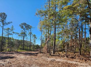 LOT 133 Coral Gull St, Southport, NC 28461