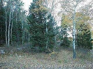 1st image of 504 Pinion Pine Cir #5