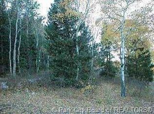504 Pinion Pine Cir #5, Oakley, UT 84055