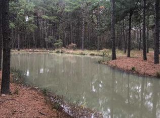 10655 Farmer Rd, Sour Lake, TX 77659