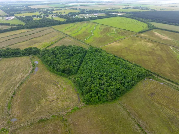 Highway 383, Kinder, LA 70648