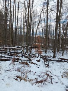 0 Starr Rd Lot 5, Campbell, NY, 14821