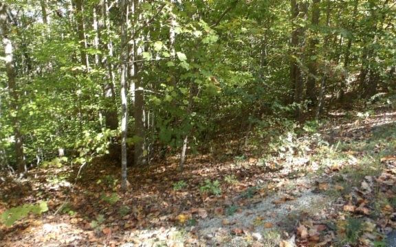 5th image of 0 Inland Ct Lot 2