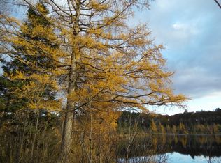 Hubert Rd, Hillman, MI 49746