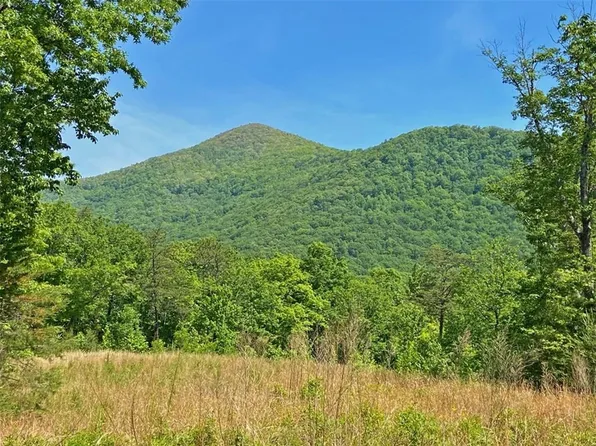 105AC Jack Walker Rd #10.5, Dahlonega, GA 30533