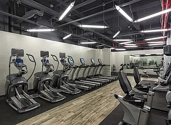 Rented by Stellar Management