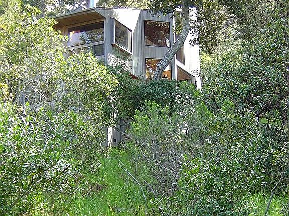 Privacy in Forest Setting