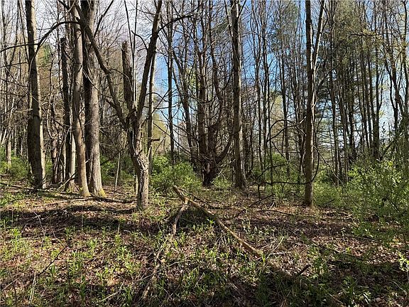 4th image of 9155 Smith Rd Lot 74