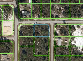 331 Homasassa Ave NE, Lake Placid, FL 33852