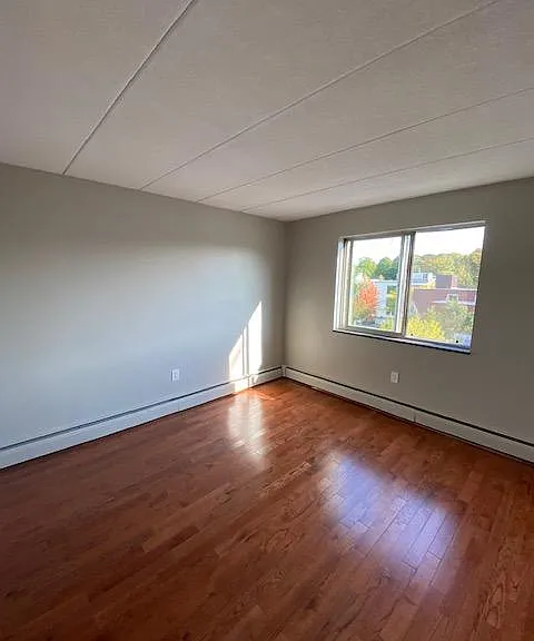 47 Homer Ave — Photo 12