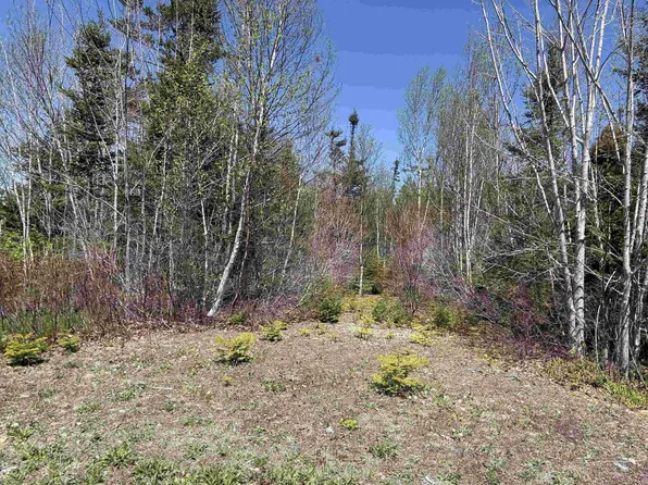 Marble Mountain Rd Lot 22, Inverness, NS B0E 3K0