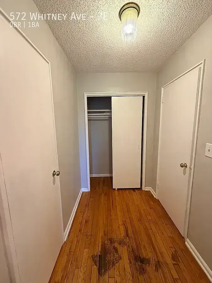 572 Whitney Ave #3E — Photo 4