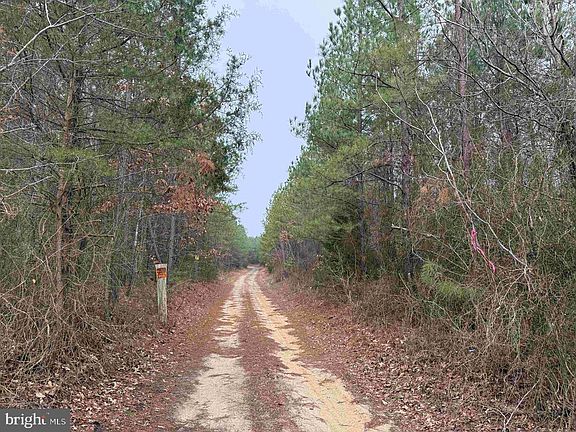 3rd image of Pollards Lane Tract Tanager #Et2-2012