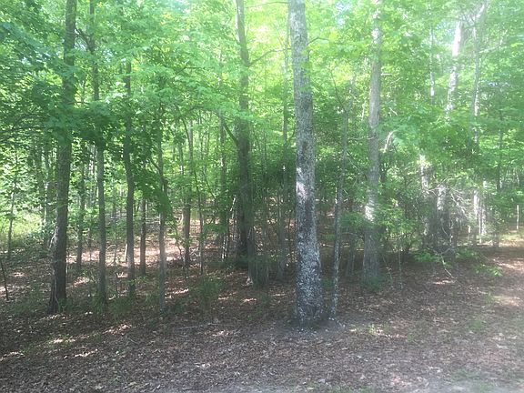 This is the property