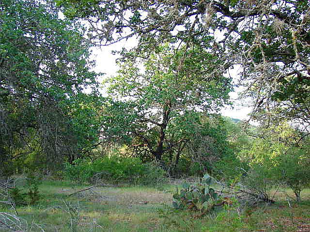 1st image of 83B Camino Primero