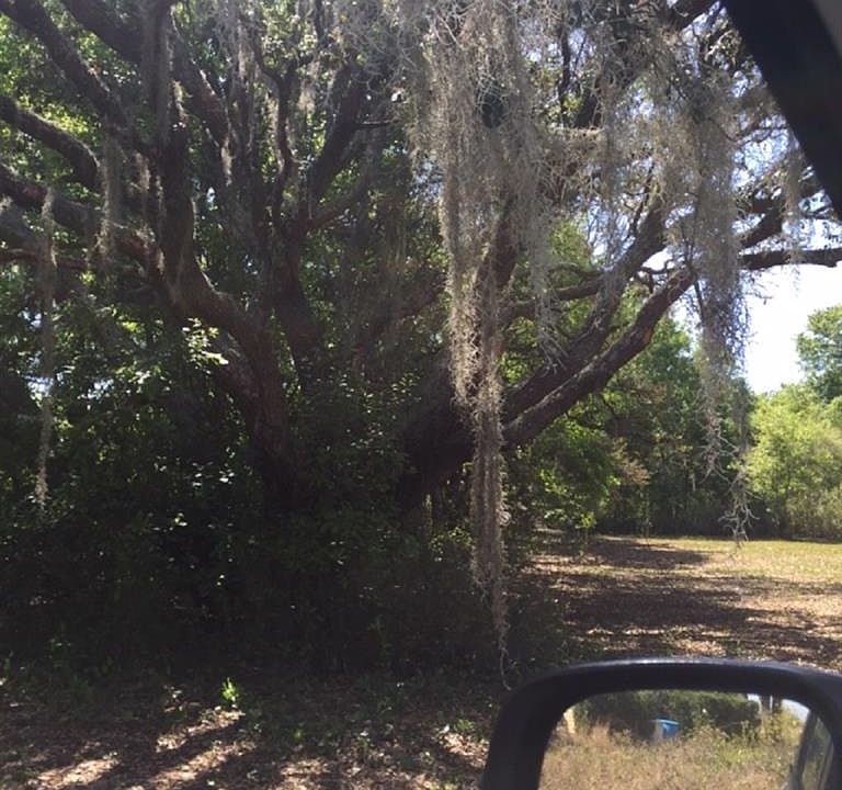 2nd image of 10638 S Orange Blossom Blvd