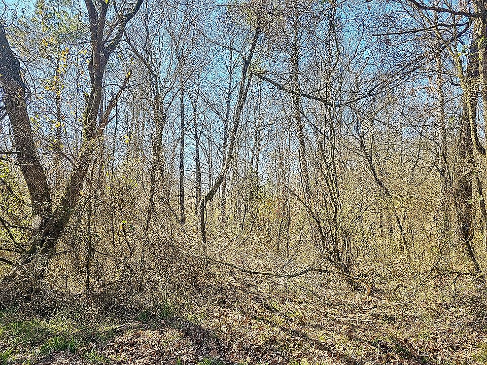 2nd image of Port Arthur Rd