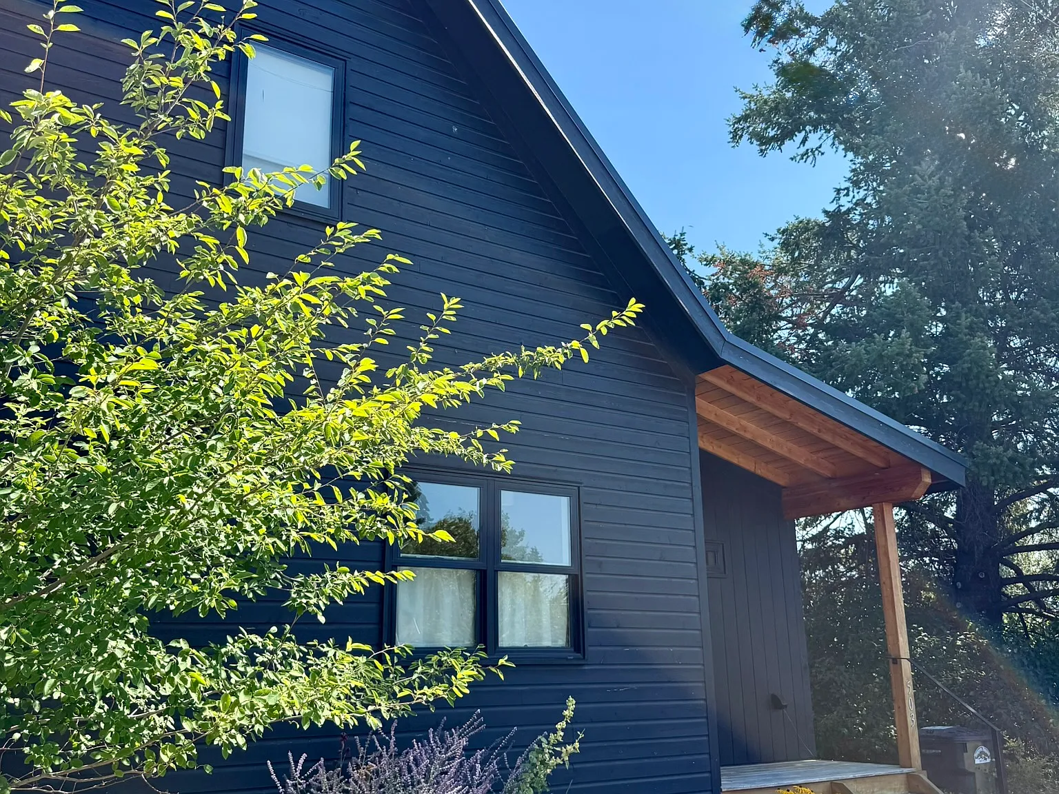 2 bed, 1100 sqft, $2,500 — Photo 3