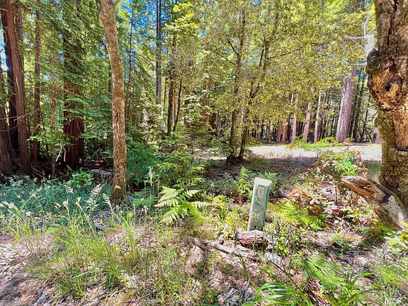 3rd image of 22039 Timber Cove Road