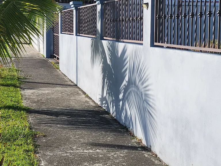 Fenced Yard