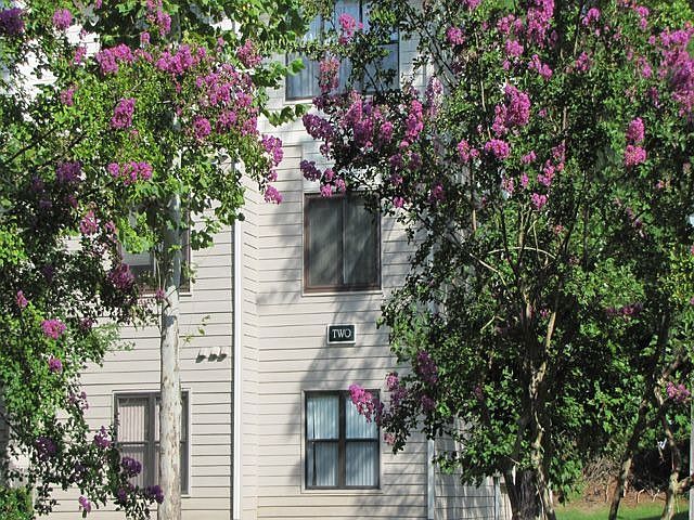 1st image of 600 Audubon Lake Dr APT 2C23
