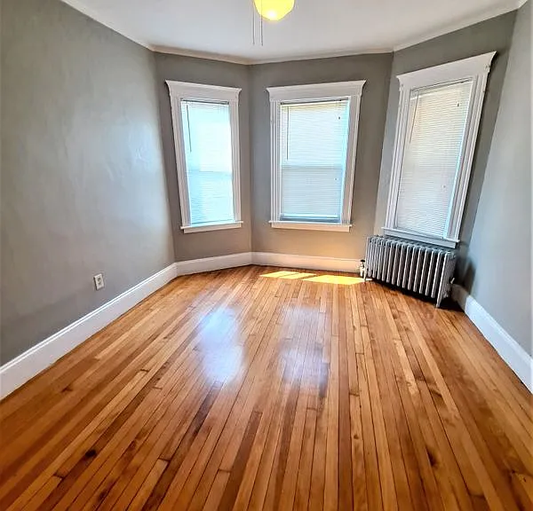 393 Talbot Ave #1 — Photo 5