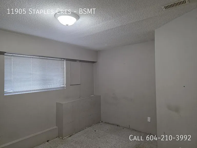 11905 Staples Cres #BASEMENT — Photo 4